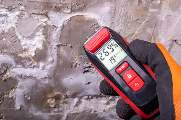 Best Best Mold Removal Companies  in Lake Delton, WI